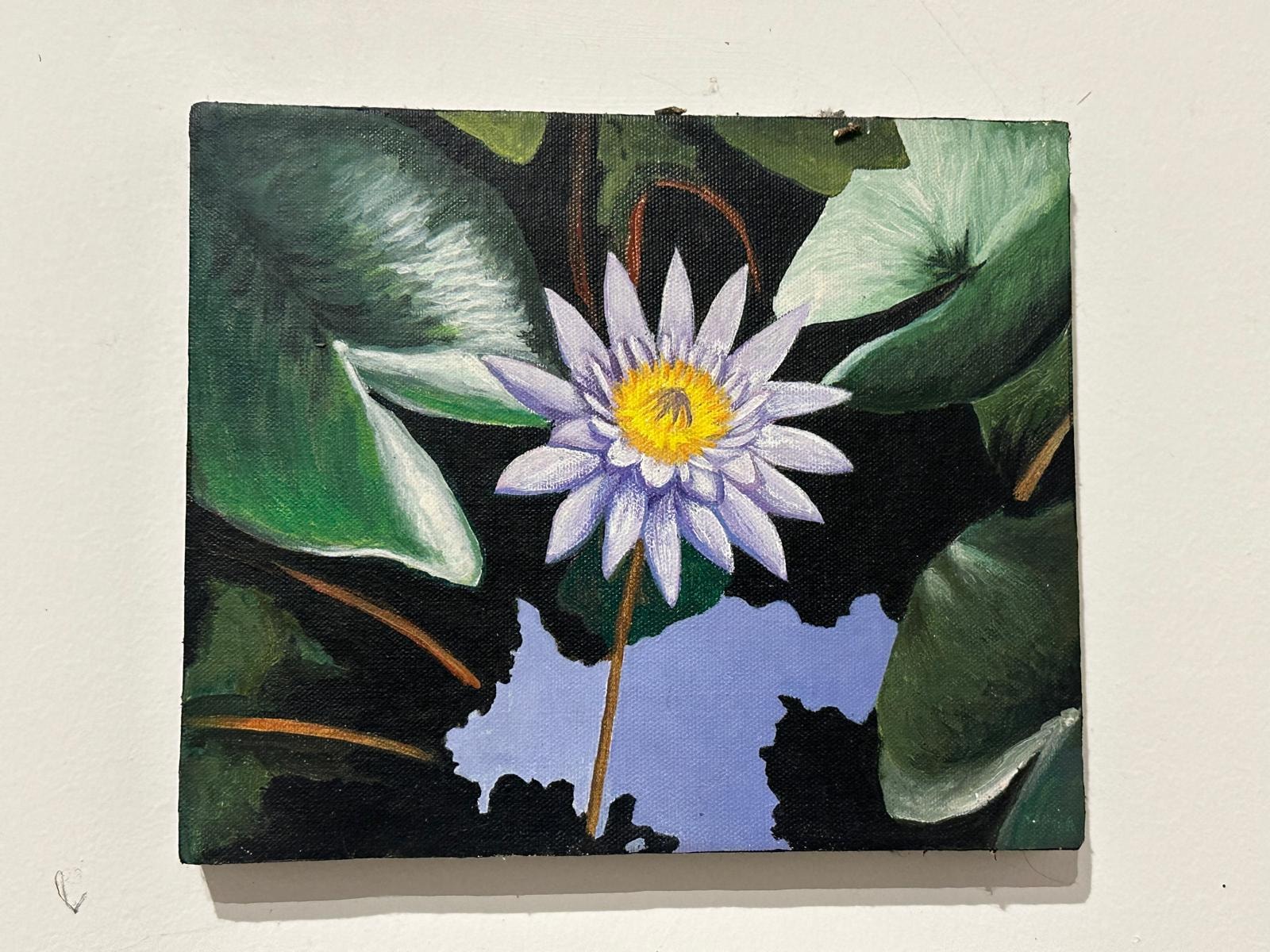 Lotus Pool